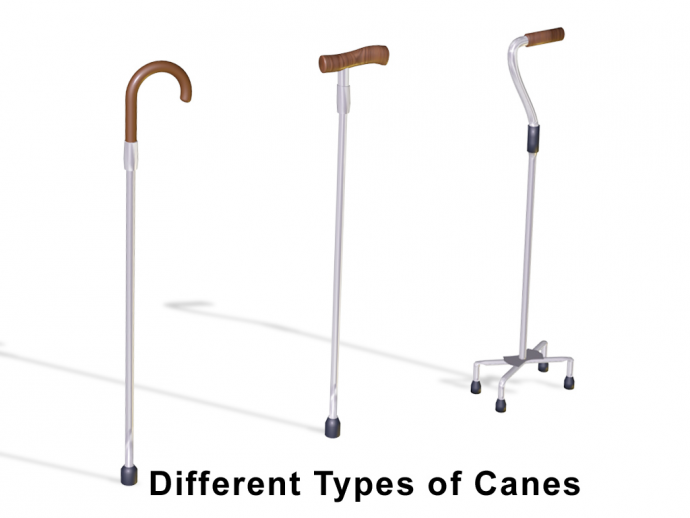 An Ode to Canes and Walking Sticks | The Differential